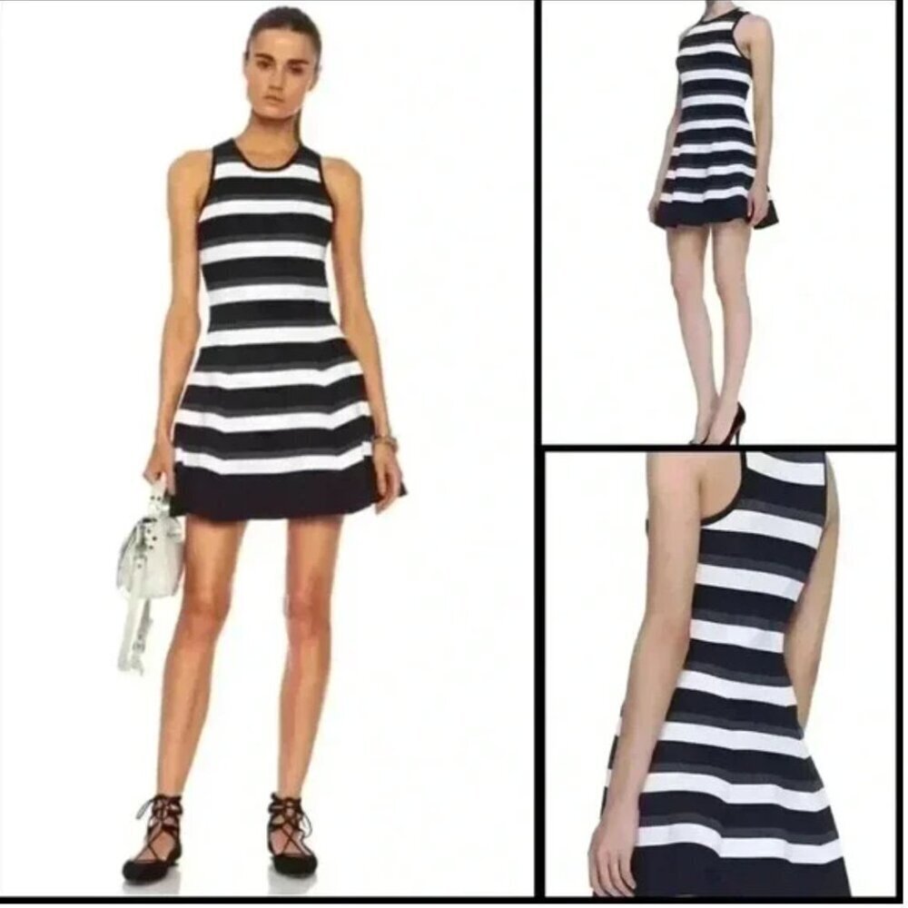 Alc Pippa Dress Knit Sleeveless Fit And Flare Mini Stripes Blue White Size Xs